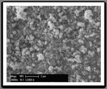 Catalyst For C4/C5 Selective Hydrogenation Catalyst For Butadiene Removal