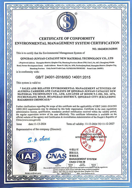 Qingdao Junyao Catalyst New Material Technology Co., Ltd.